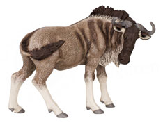 ANIMALES PAPO 50101 ÑU